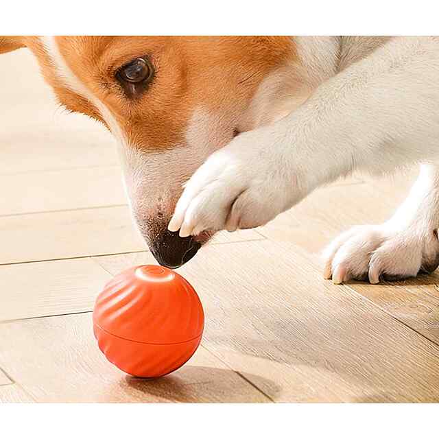 М'яч для собак та кішок помаранчевий інтелектуальний ТПР з кабелем Type-C. 5 см. Г1339