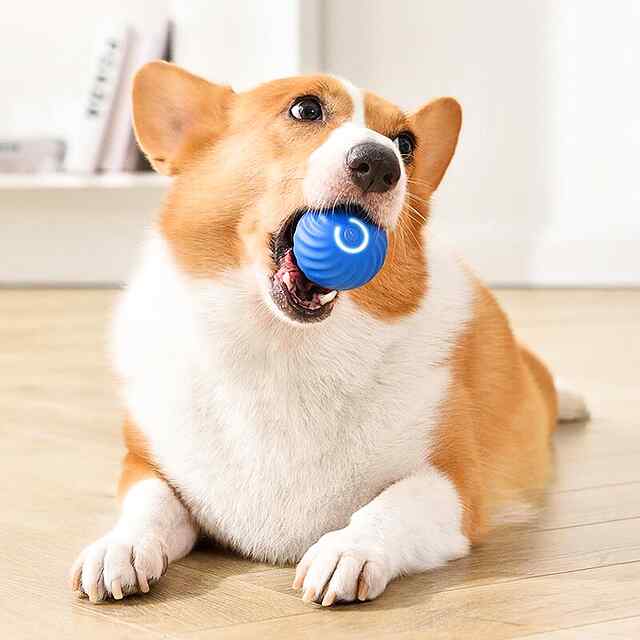 Автоматична іграшка для собак та котів – помаранчевий м’яч 5.2 см з зарядною станцією. TPR, Україна. G1339 - 1 фото товару