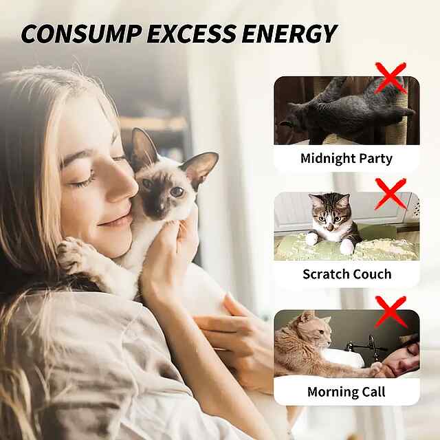 Іграшка для котів: удосконалена присоска, сталевий дріт, безпечна - 3 фото товару