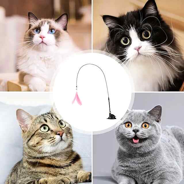 Іграшка для котів: Вудка з пір'ям та міцною присоскою. Розваги! - 2 фото товару