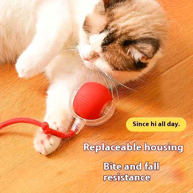 Інтерактивний м'ячик для кішки, бігає та щебече, режим сну, Type-C зарядка. - 1 фото товару