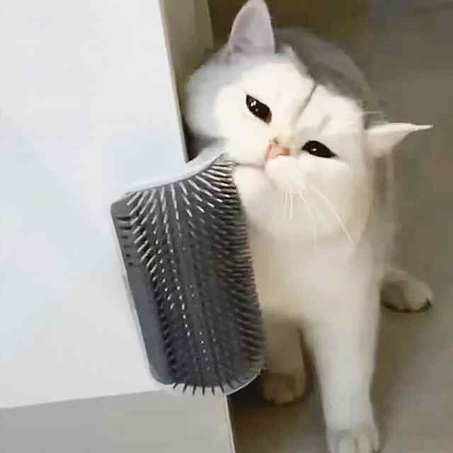 Масажер для котів: догляд, комфорт та розвага. Щітка-чесалка з кріпленням, сірий колір, 13×9 см.