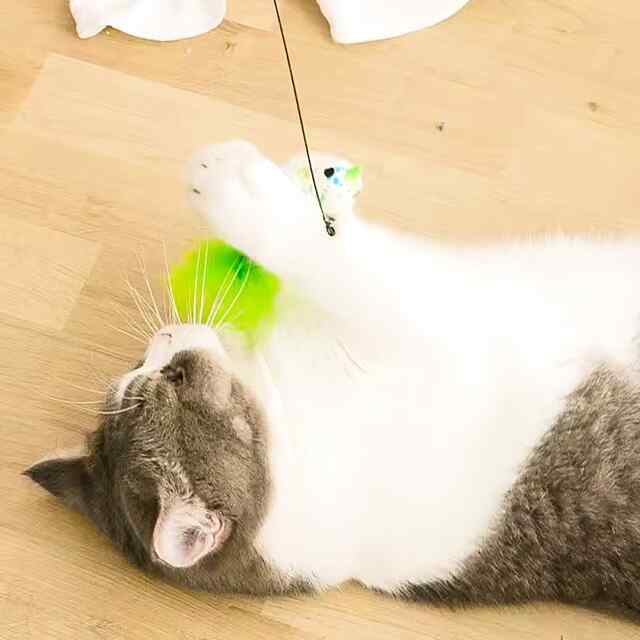 Вакуумний стрижень для котів з пір'ям та дротом, безпечний, розвиває інстинкти - 3 фото товару